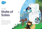 State of Sales