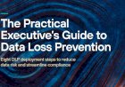 A Practical Executive's Guide to Data Loss Prevention