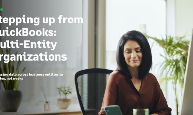 Stepping up from QuickBooks: Multi-Entity Organizations