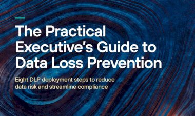 A Practical Executive's Guide to Data Loss Prevention
