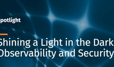 Shining a light in the dark: observability and security, a SANS profile