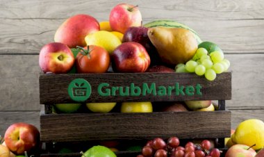 GrubMarket Introduces AI-Powered Multi-Format Document Processing for ERP Integration