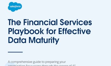 The Financial Services Playbook for Effective Data Maturity