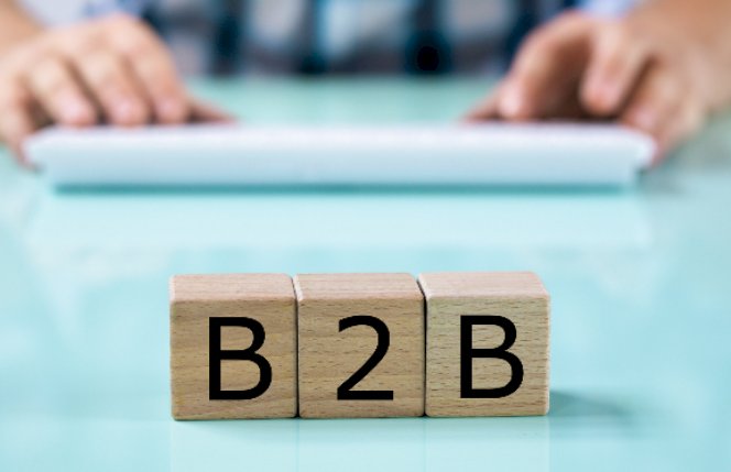 Business Services (B2B) Industry – Accounting Firms and Strategy Cuts