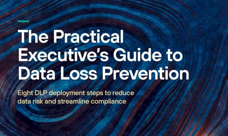 A Practical Executive's Guide to Data Loss Prevention